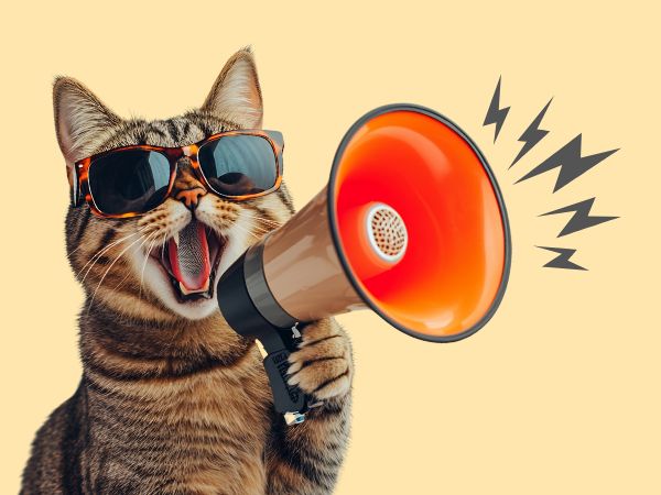 plazmatikum alkalmasító akció