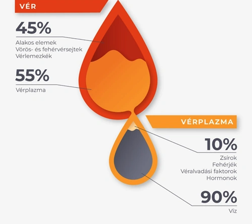 A plazma összetétele